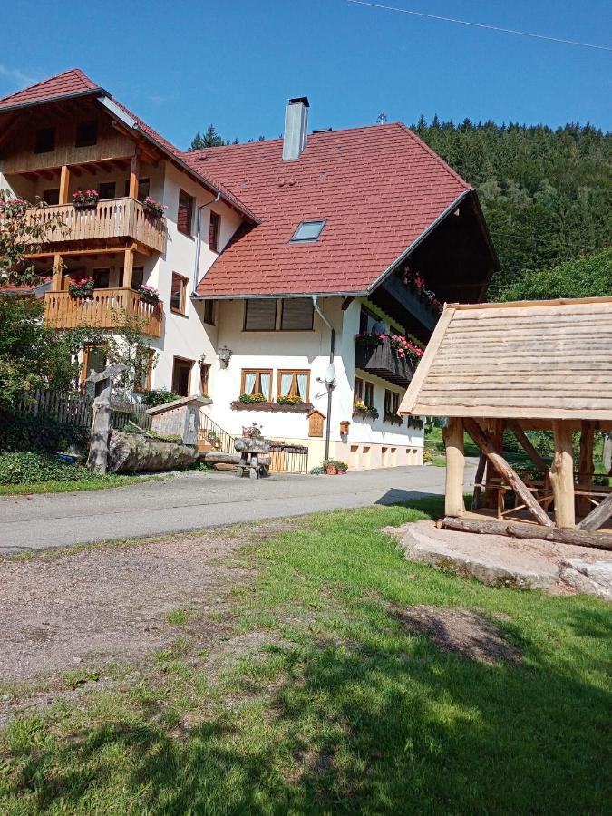 Urlaub Auf Dem Haenslehof Apartment Elzach Exterior photo