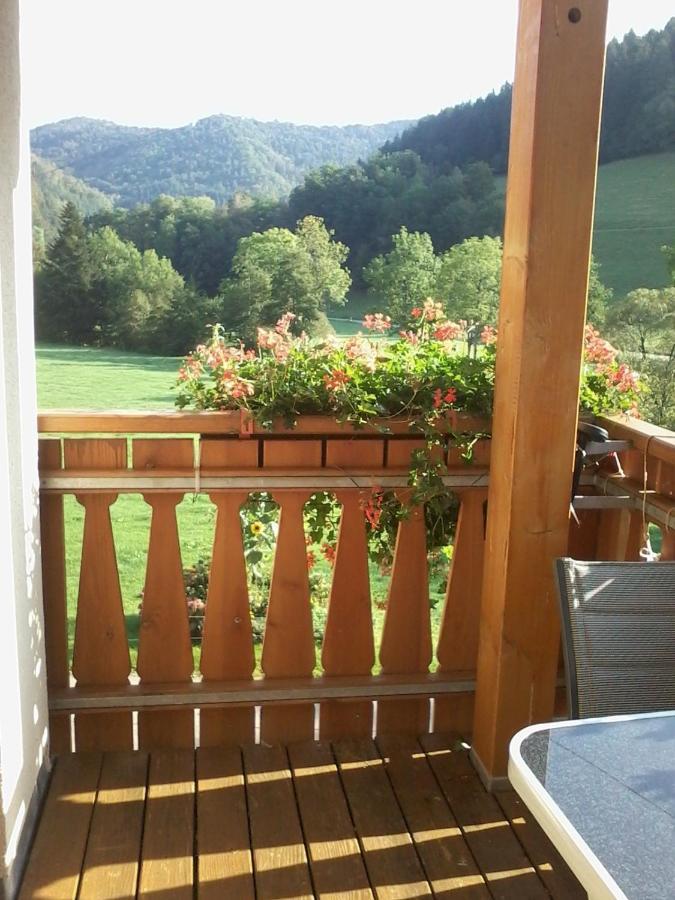 Urlaub Auf Dem Haenslehof Apartment Elzach Exterior photo