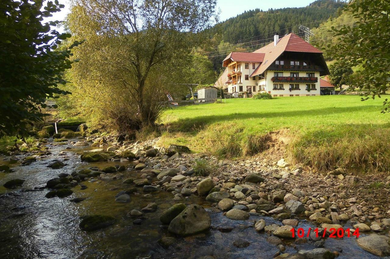 Urlaub Auf Dem Haenslehof Apartment Elzach Exterior photo